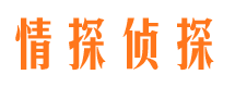 城关侦探调查公司